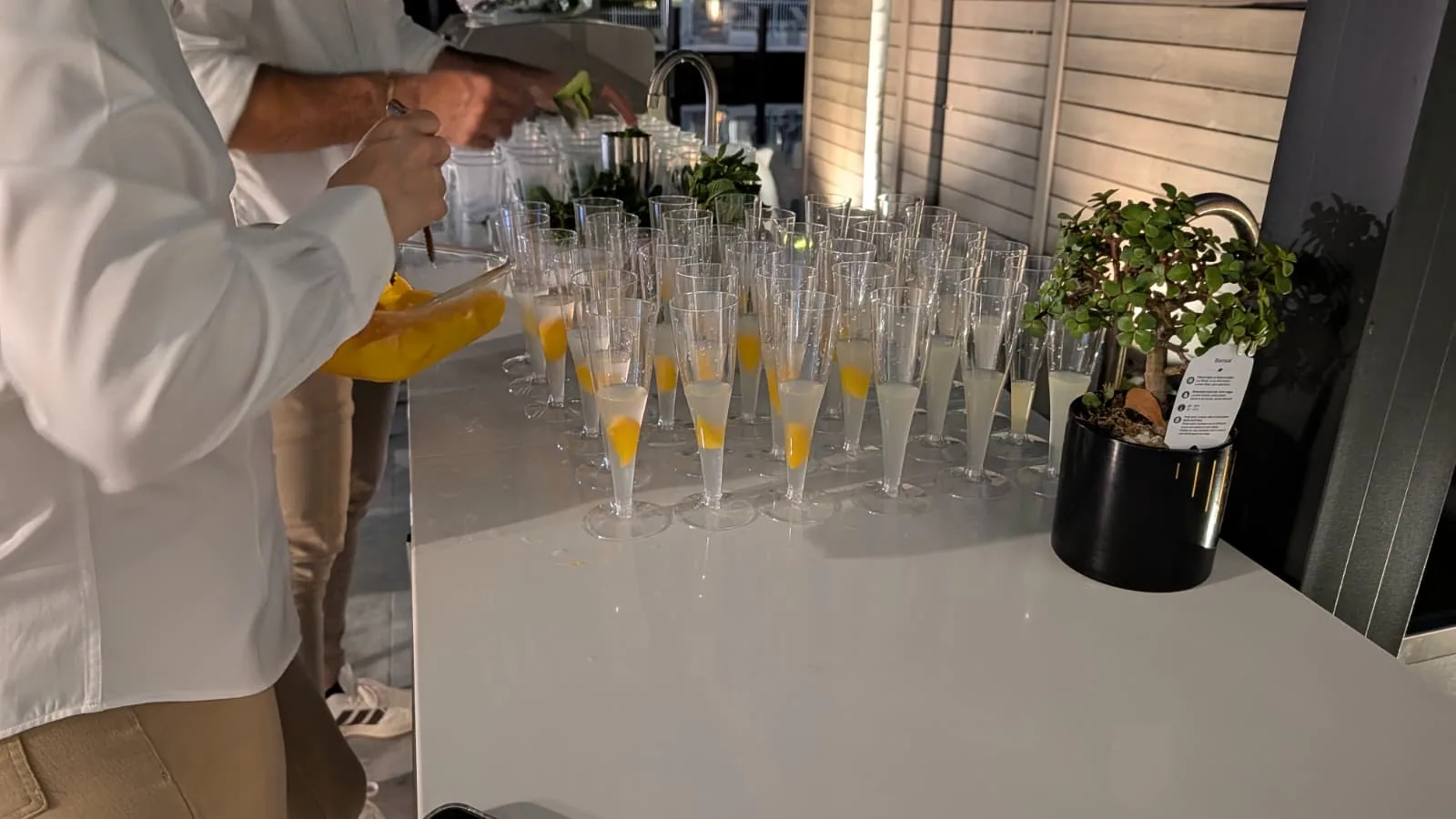 Champagne glasses prepared with fresh citrus