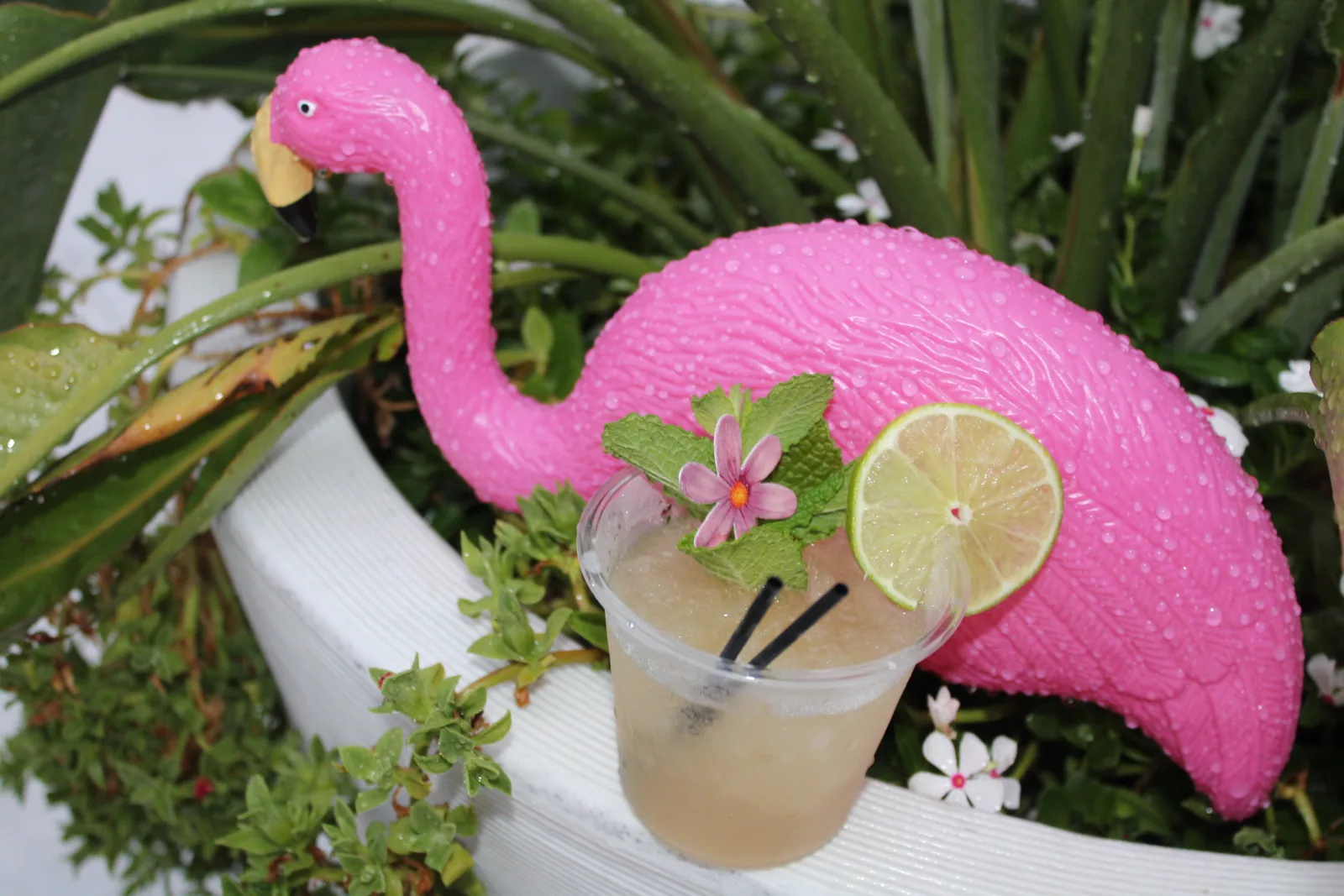 Cocktail with lime and flower beside a pink flamingo